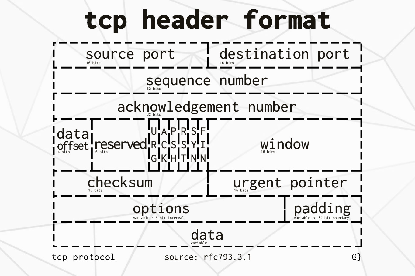 tcp header format diagram